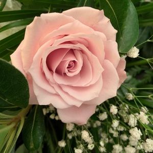 Meet your Posher, Allison